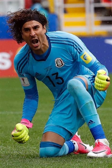 ochoa net worth